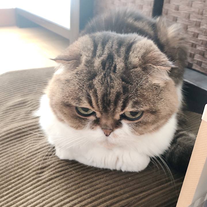 C43c3121 f37b 4c9e aa2f 881343123055 1583706642402