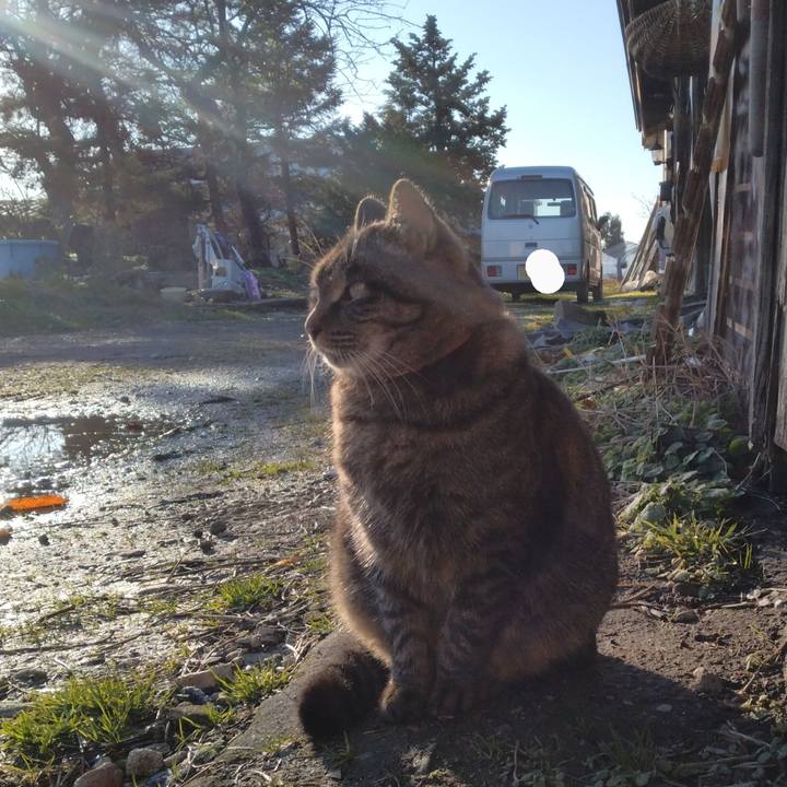 C43c5250 8ccd 4703 8214 6f975635e6a9 1670047286045