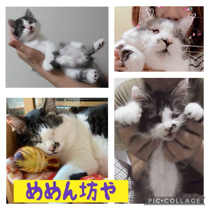 C43c5768 ab44 46d4 9bff 13ce8e385f47 1707611124285