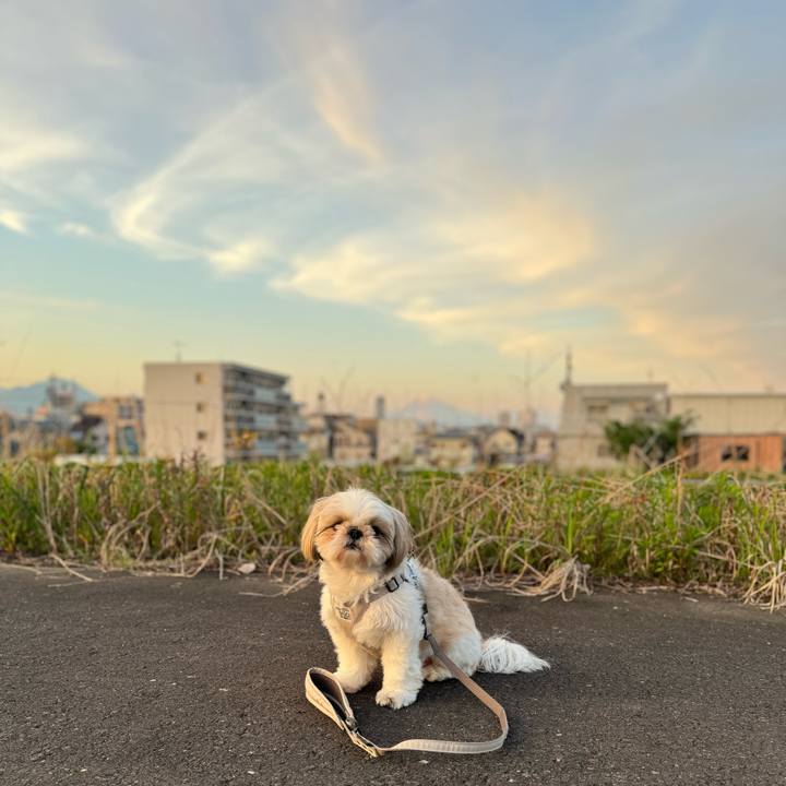 C43c75ef a17e 42e1 bb90 307db7200176 1714049252139