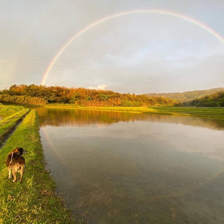 C43c91c8 853d 47f8 b38a 5444b2ac15fe 1651405128241