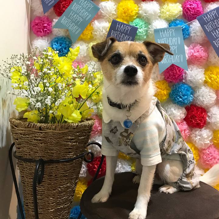 C43cdc03 a9d8 4b65 b7c0 8fa183791178 1553085018816