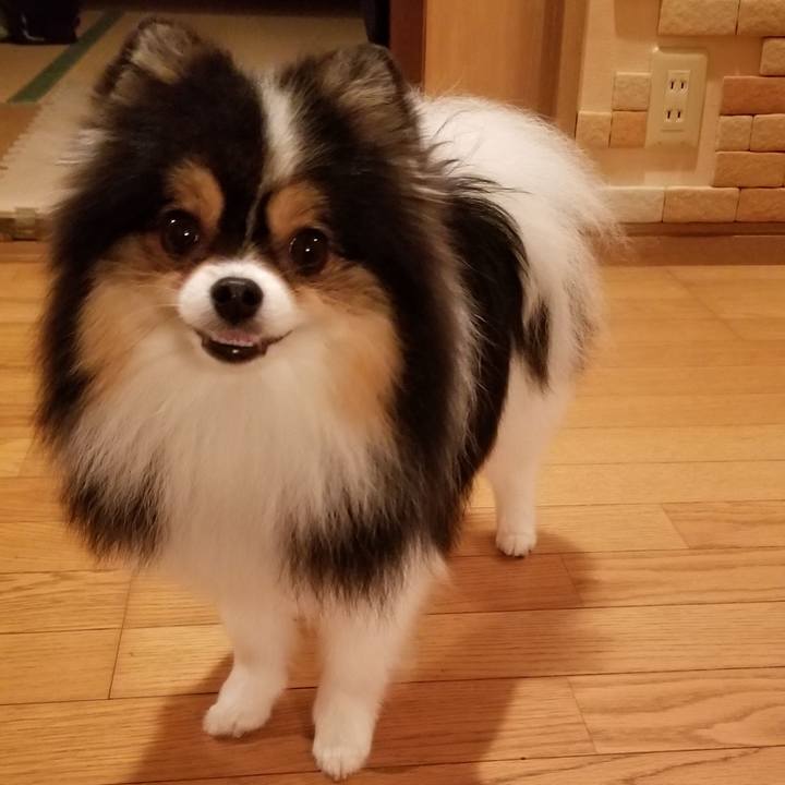 C43d06ce 42b3 499c 994f 477e991c3af7 1529579400144