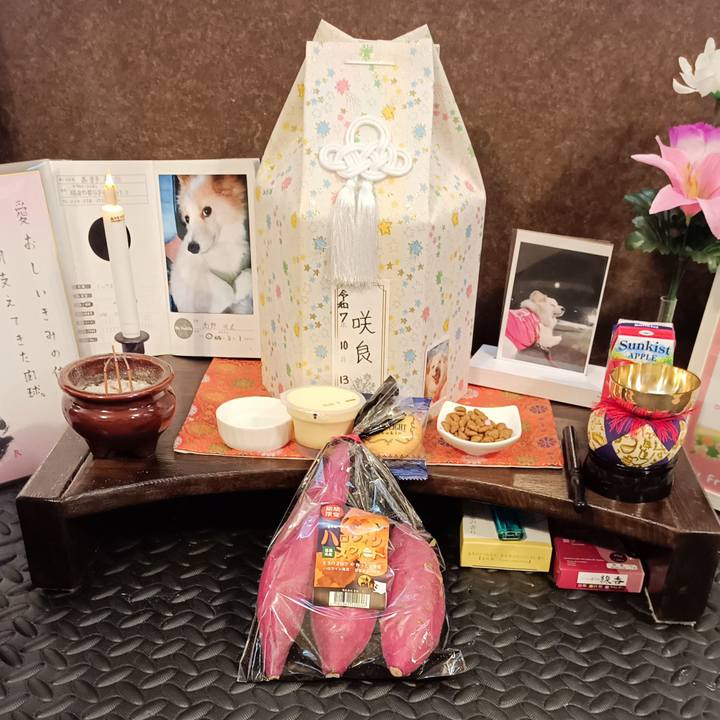 C43d676c 3e64 408c 83a9 ae50320435ef 1761468952757