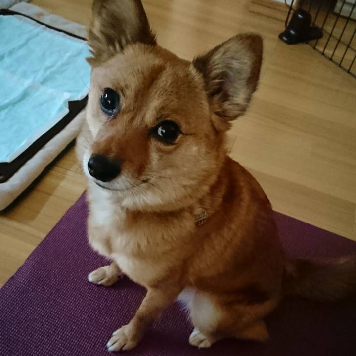 C43db3cc ecc6 4bf0 8e77 fad4d0caf47f 1553381818338