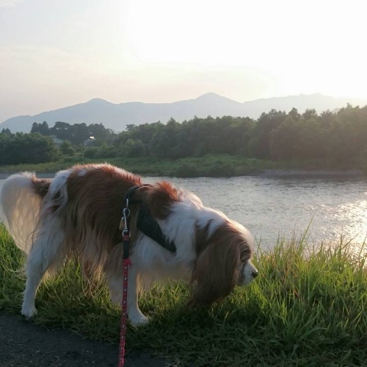 C43dc643 d69e 4c4e 888d 81438887673a 1564091218123