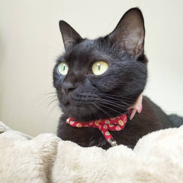 C43dd402 3e07 460f 942e 6a92ec5f7b2b 1666406443525