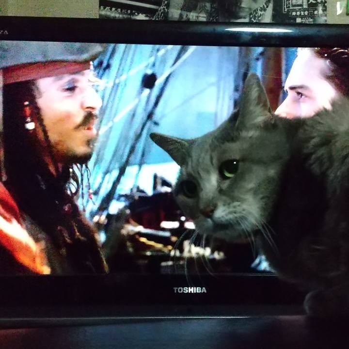 C43df84c bd2d 4377 9a55 68fc2a36394e 1674218745279