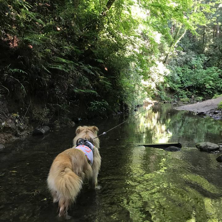 C43e4690 60f1 42d4 92eb 822ddf227d1b 1653280251952