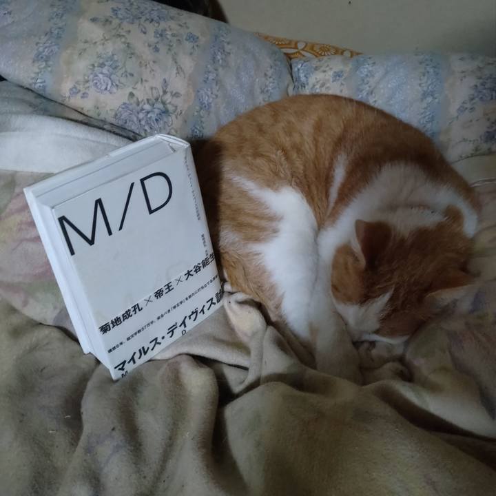 C43e687f 4e5d 452c a633 9da5d59d1cfb 1774438795611