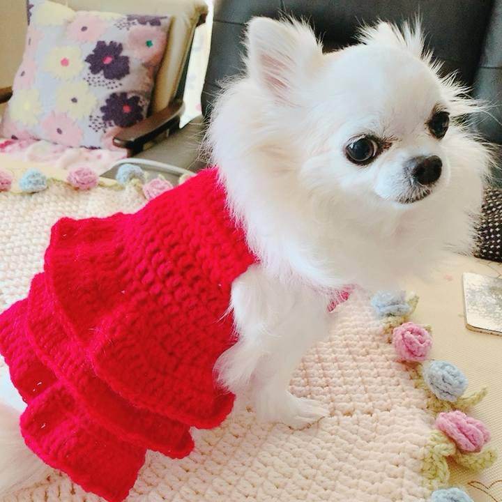 C43e6d2d 5089 43b3 bad1 d55c8e6e3924 1765441807141