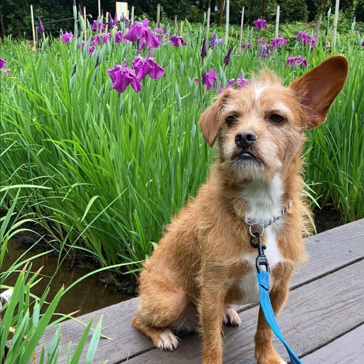 C43e800c 8266 45ae b580 afca39d5b278 1621555240237