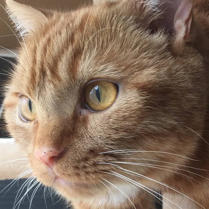 C43eacad b447 4181 b0f4 b63bd02a0065 1561765755755