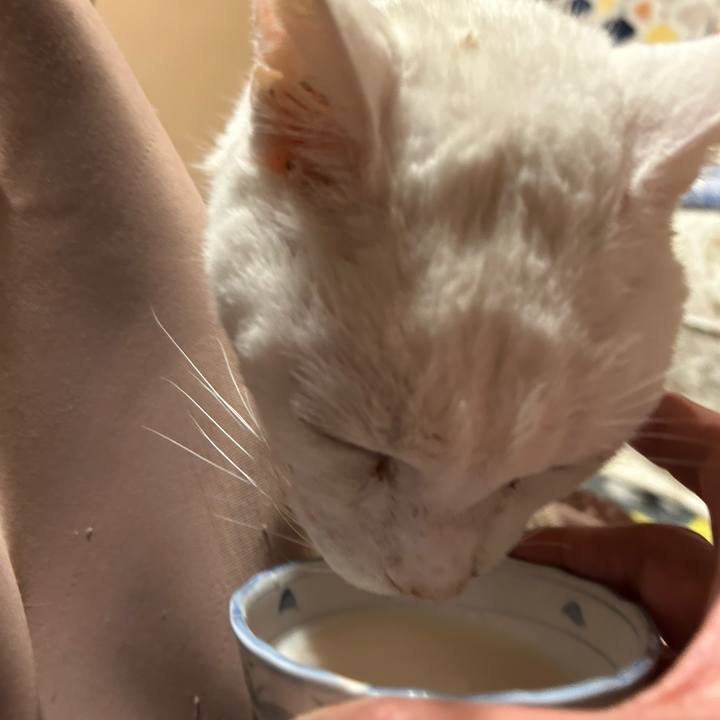 C43ec964 1845 4e46 99b2 cb1d60190ad0 1703542788598