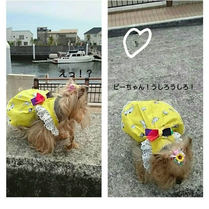 C43ed6e6 15b9 464a a5bf 7aee873cf42c 1714401272270