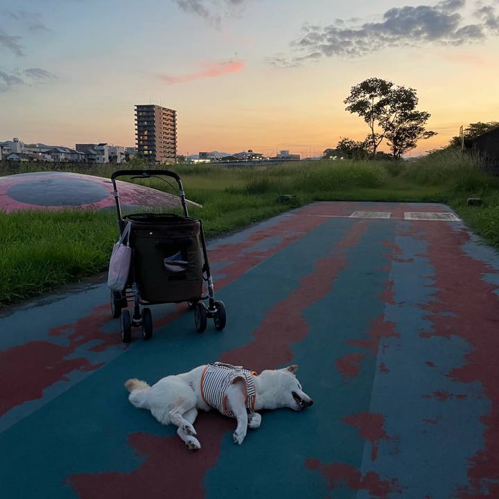 C43edb0c 77d7 4d70 8b3a 2e53d5a8c1d3 1661434896233