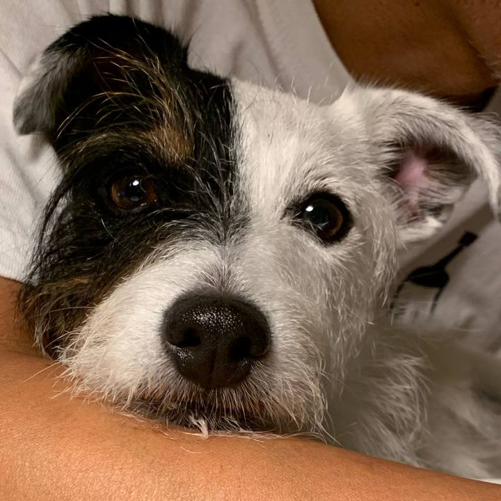 C43edf15 1c04 49ac aeb2 e96f54c88c34 1632733732430