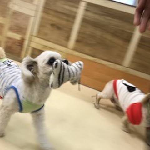 C43efc28 1a22 4650 afa4 28efceb17d79 1521113343888