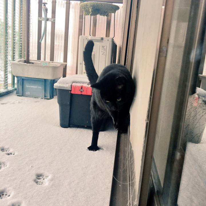 C43f4380 9ee2 49b0 b0d2 57e829b37e52 1516836773320