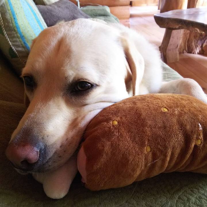 C43f4705 e9e9 46d9 991e a31d19d05739 1527302593361