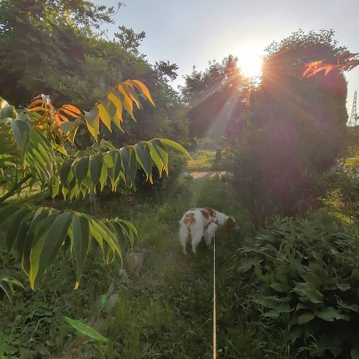 C43faae8 01c0 4663 b04f ea5c769d32f0 1622374874748