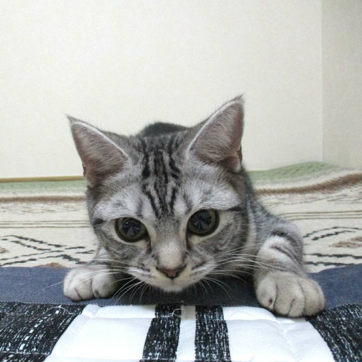 C43fb110 a864 4db9 9204 30d2afd21841 1544706314445