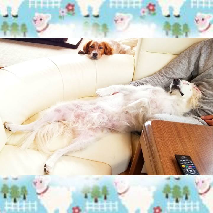 C43febc2 f460 47ad 9f92 f147d9e920f2 1554599151727