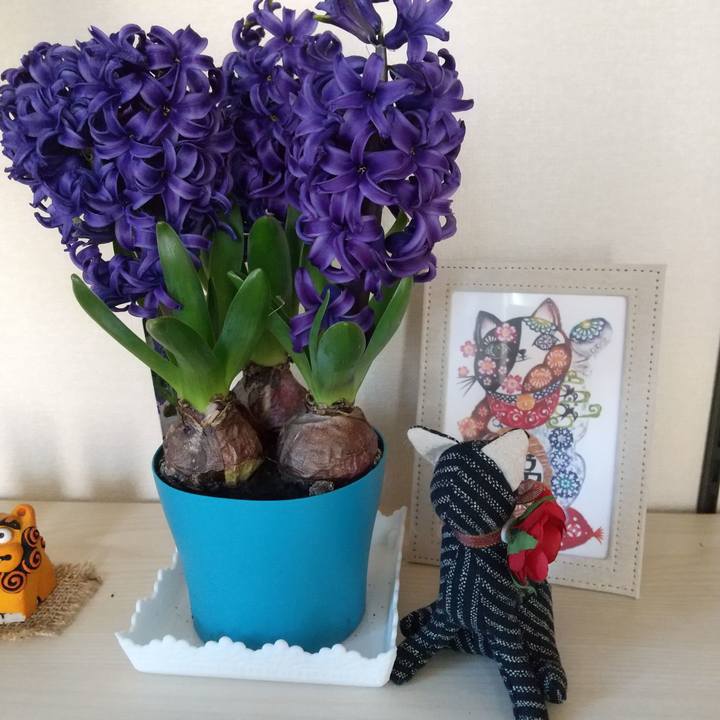 C43fee62 db5a 48a1 a619 b8db166d6f33 1676598017819