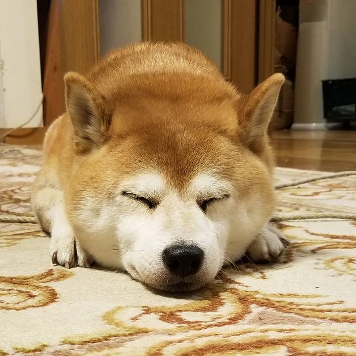 C43ffb1f 6f30 4435 bf72 a241523544b4 1569751889732