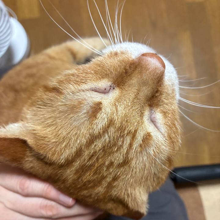 C4402c5a eb24 438e 9436 162e88e61389 1753704591664