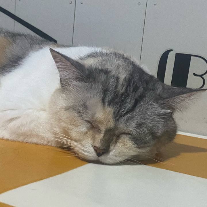 C4402f5e dbff 45d6 ac3c 66446f3fc8e5 1725294451815