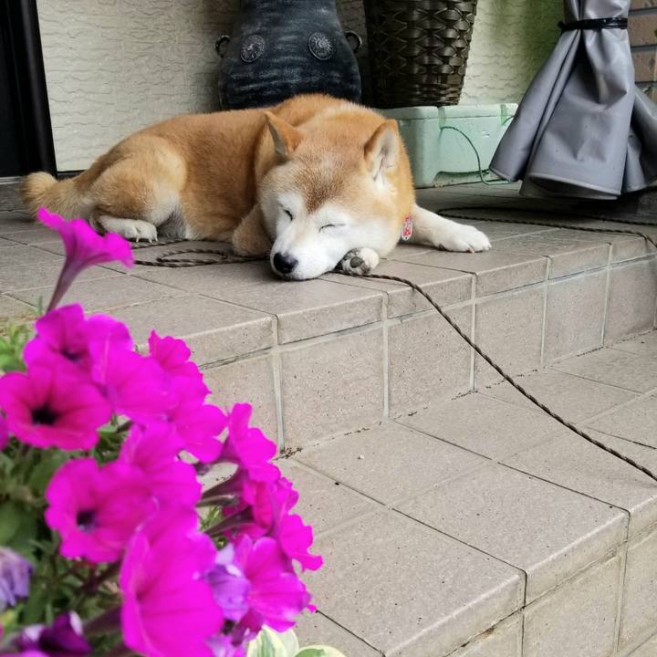 C44031d0 2d6e 4cdb 8712 5e5995a4e6af 1692143878338