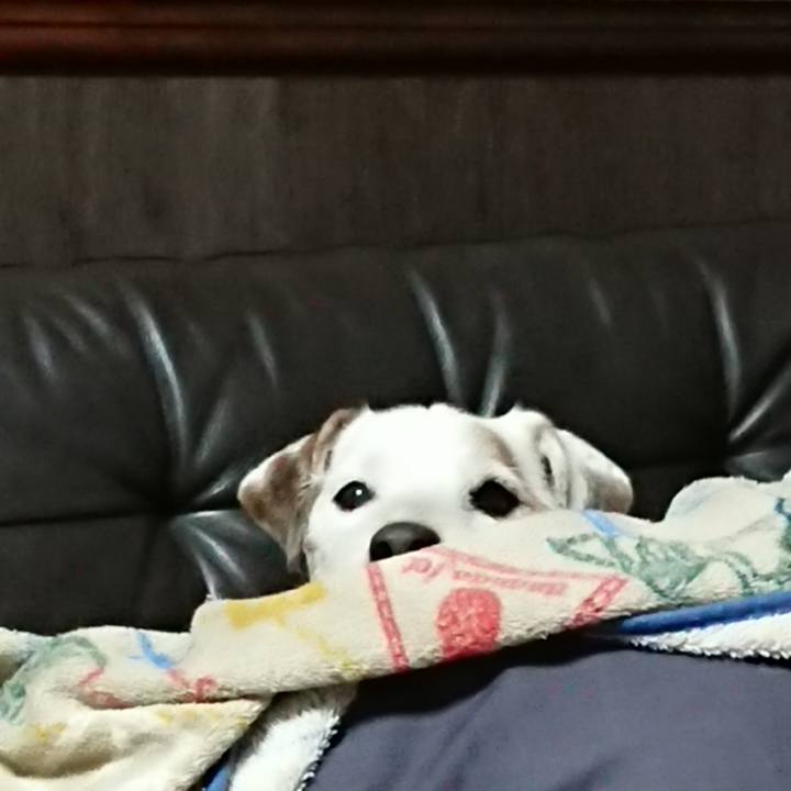 C4403272 fa15 4a91 b919 b948da038a20 1581292213221