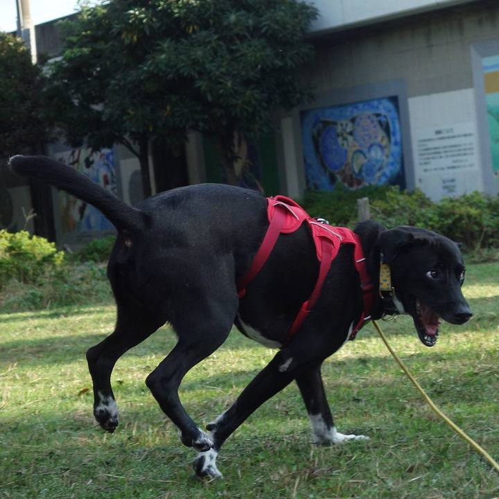 C4403338 af9f 4f84 8832 92c715e77851 1602548767469