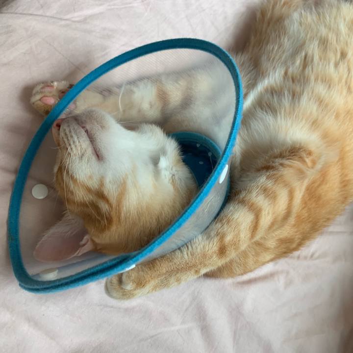 C4409f67 b567 4119 ba9c 9ef96c333926 1570316981202