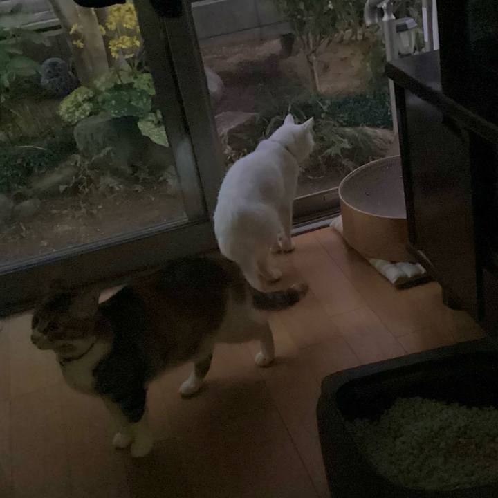 C440aa01 3e28 465b 8c62 48fa157619ee 1668927068592