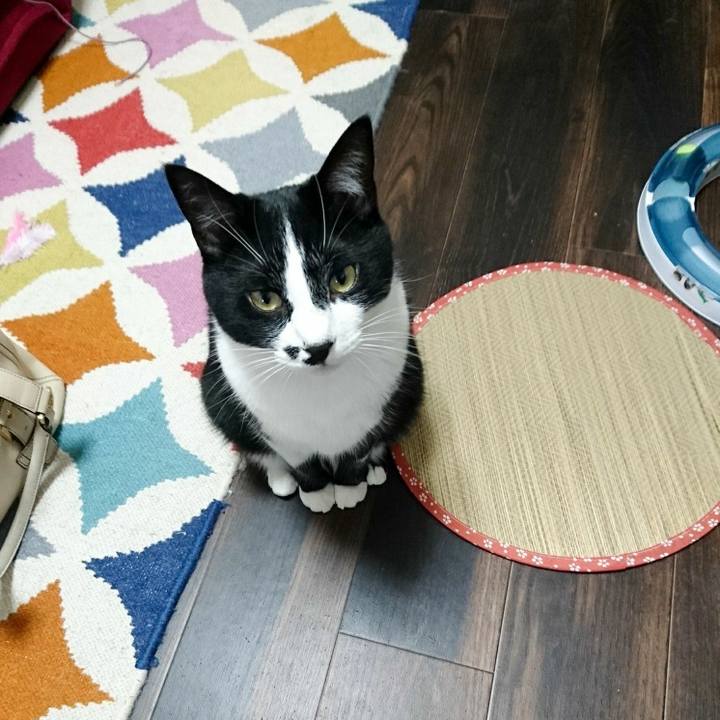 C440aefb 88e1 473d 8fe8 f314c88d7b22 1528901543860