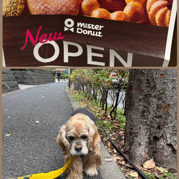 C440b9c4 0054 4628 8aac 79d95ec3de97 1763011413927