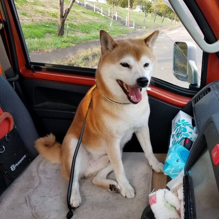 C440baa6 c671 4d16 9be0 4f5b685d468f 1601452075709