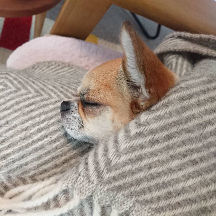 C440ccfa 158e 4c6f a6e2 2f94f13571ec 1589327481022