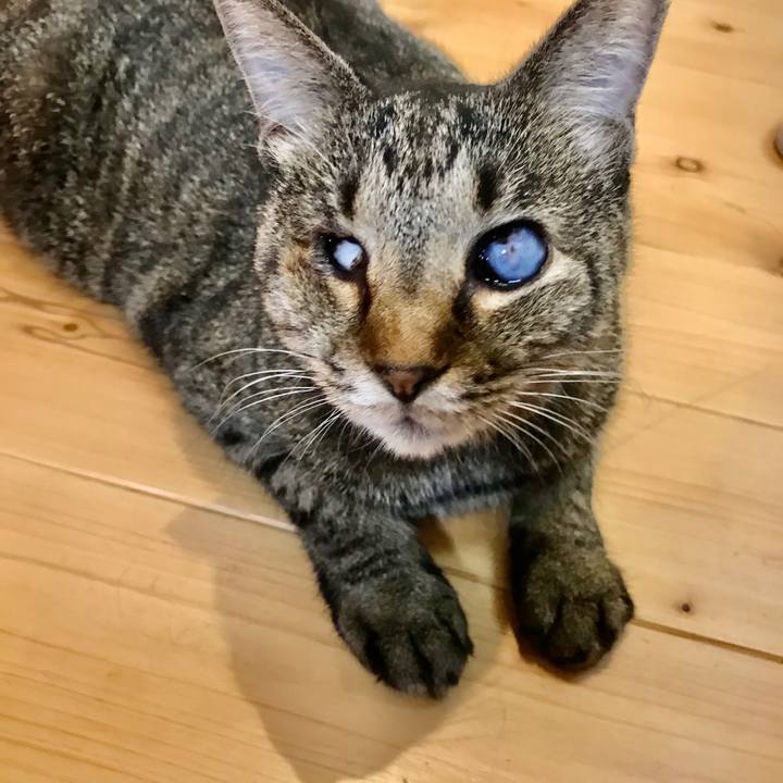 C440d19a 0d24 4664 a451 9091659f859a 1600596536268