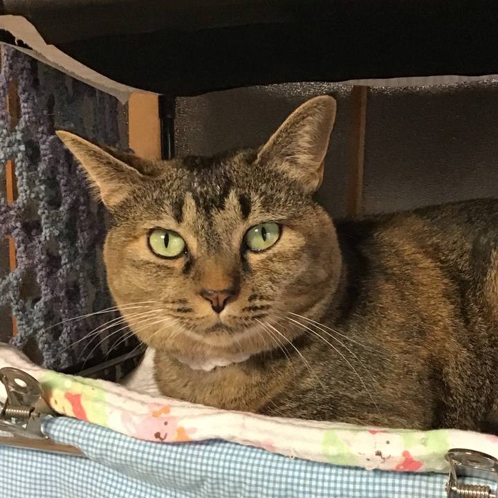 C4411ab6 974c 4a51 92aa fcef554b7be9 1726476347697