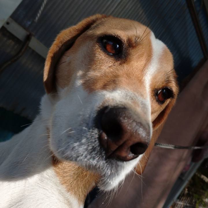 C4417d0e 7878 4c40 a110 b1e1911e7df9 1583820428084