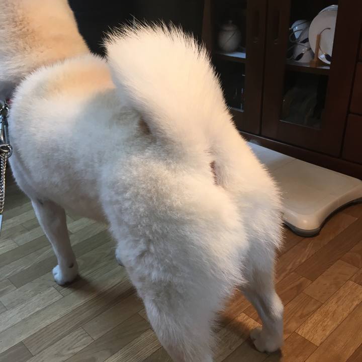 C4418037 07e2 461e bfb4 e6a16f3771b5 1538867493407