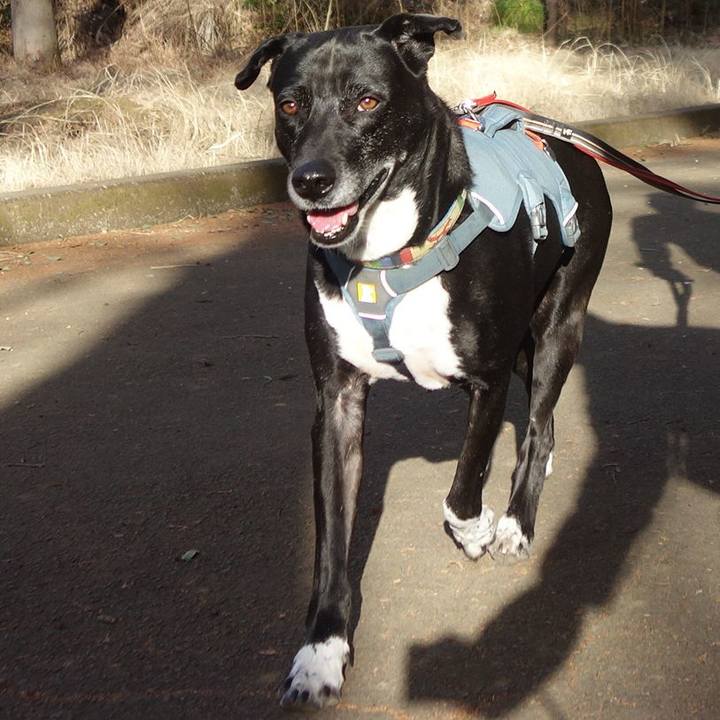 C4418788 d165 40a5 a6b8 c80fd4c72550 1708045679374