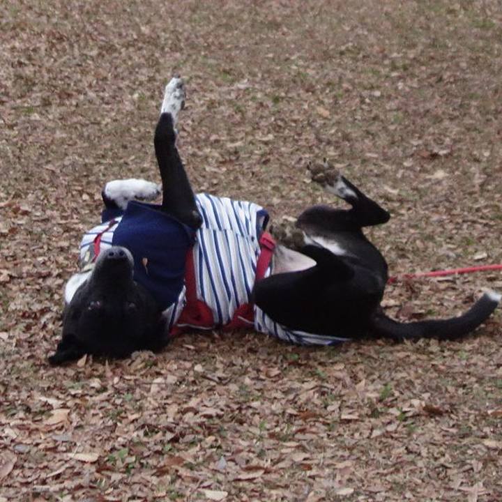 C441a1f9 a0ee 4046 a1eb 4b8a4f6a6050 1702597571701