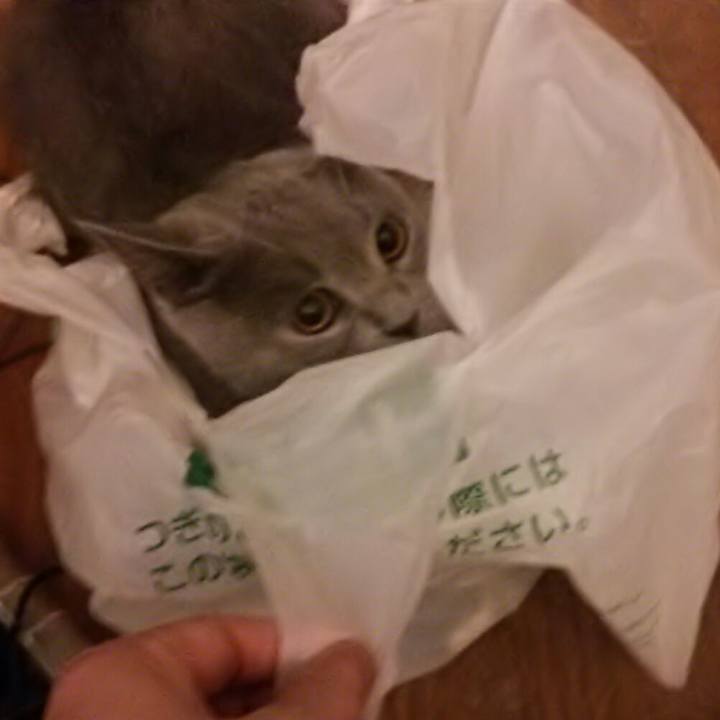 C441aa2f b064 4d77 a8fe 5ba2c505cd6c 1537482593795