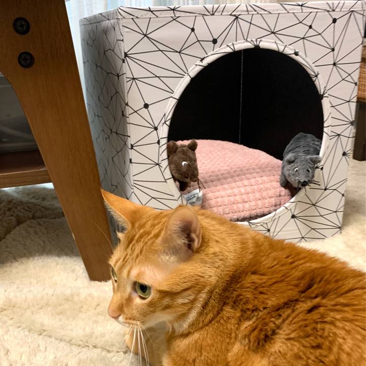 C441f13f 8410 46ec a0a1 9c09ad2416db 1578826709676