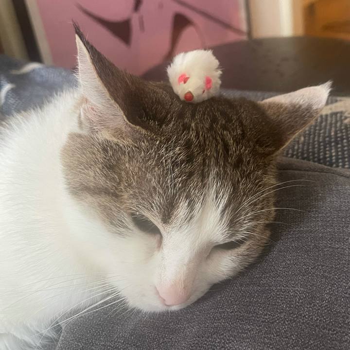 C44206a9 38a8 4354 9031 baf35f4dd9aa 1627173655040