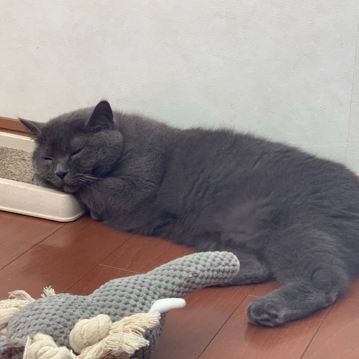 C44236b8 bd1a 4e2f 85b1 2de3ab92a085 1599205482615